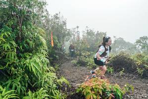 BIB: 
                            <button type="button" onclick="openModal(26272175)" class="btn btn-primary btn-sm float-right btn-popup" data-toggle="modal" data-target=".modal-high-quality">
                        <i class="fas fa-shopping-cart"></i> Add to Cart
                    </button>
                                            <button type="button" onclick="isThisMe(26272175, true)" class="btn btn-success btn-sm float-right btn-popup btn-isme hidden" data-toggle="tooltip" data-placement="bottom" title="นี่คือรูปของคุณใช่ไหม คลิกที่นี่เพื่อเอาเข้าอัลบั้ม">
                        <i class="fas fa-plus"></i> Add to album
                    </button>
                    <button type="button" onclick="isThisMe(26272175, false)" class="btn btn-warning btn-sm float-right btn-popup btn-isnotme hidden">
                        <i class="fas fa-ban"></i> Remove from album
                    </button>